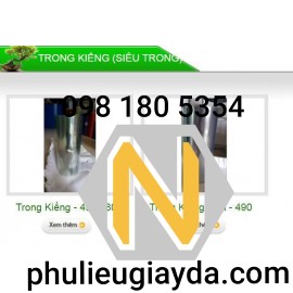 Decal Trong Kiếng